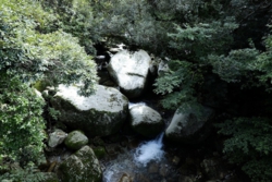 a004007004.JPG