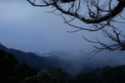 a002020010.JPG