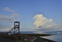 n001010002_DSC0398.jpg