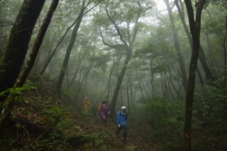 n002030013_DSC0145.jpg
