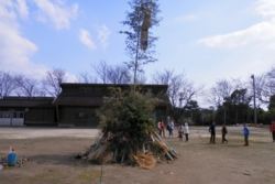 n002040001.jpg