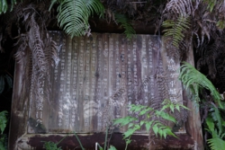 e004080002_01868.JPG