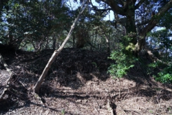 e004080004_01879.JPG