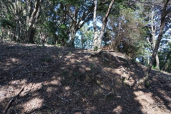 e004080005_01880.JPG