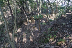 e004080006_02011.JPG