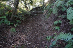 e004080008_01888.JPG