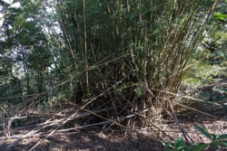 e004080009_02013.JPG