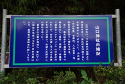 e004040002_01135.JPG