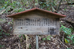 e004040004_01138.JPG