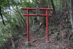 e004040005_01137.JPG