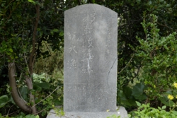 _DSF9709.JPG