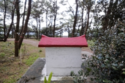 _DSF9748.JPG