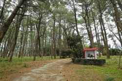 _DSF9761.JPG