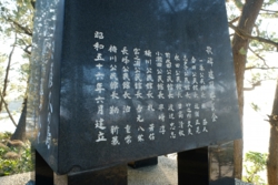 a004010005.JPG