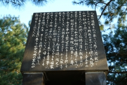 a004010007.JPG