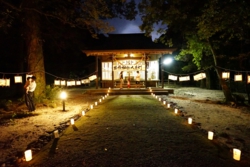 e002050003_0044.JPG
