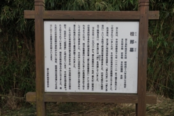 e004020026)_DSC02019.JPG