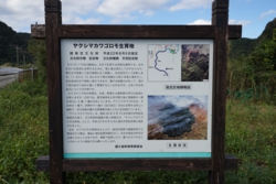 c001010007）_DSC01948.JPG