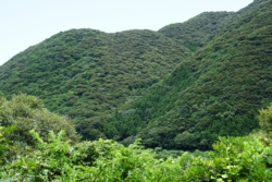 c001010011）_DSC07649.JPG