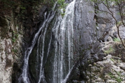 c001010013）_DSC01990.JPG