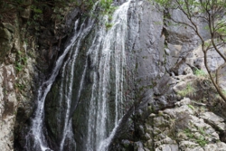 c001010014）_DSC01991.JPG