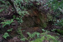c004004003_DSC00925.JPG
