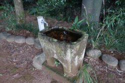 e004007007_02038.JPG