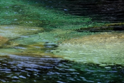 a001002012.JPG