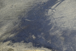 g001001005.JPG