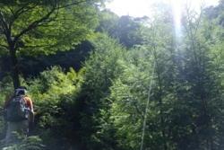 g002003018.JPG