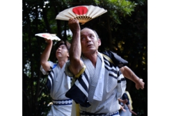 g003001006.JPG