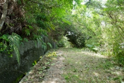 g004004002.JPG