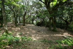 g004004004.JPG