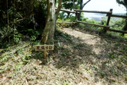 g004004006.JPG