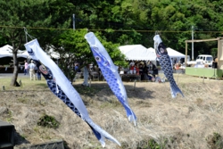 g004004009.JPG
