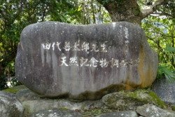 g004008001.JPG