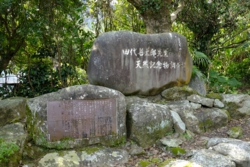 g004008002.JPG