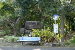 g004008003.JPG