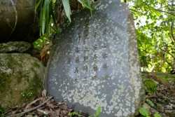 g004008004.JPG