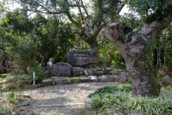 g004008006.JPG