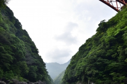 m001001007_DSC0501.jpg