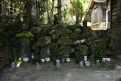 ｍ004001009_DSC0866.jpg