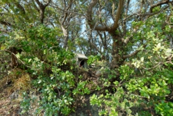g004003009.JPG