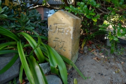 g005001003.JPG