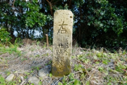 g005001005.JPG