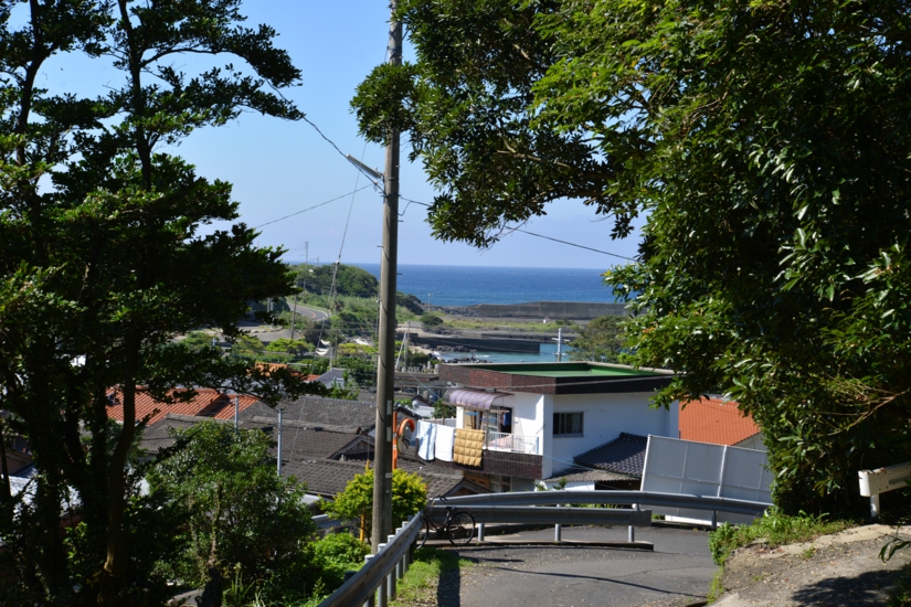 w005001001)DSC_8458.JPG